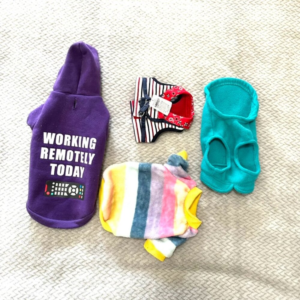 Small Dog Clothes Bundle – 4 Pieces (XS, S, M)